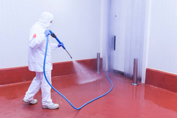 Best Warehouse Cleaning  in Evergreen Park, IL